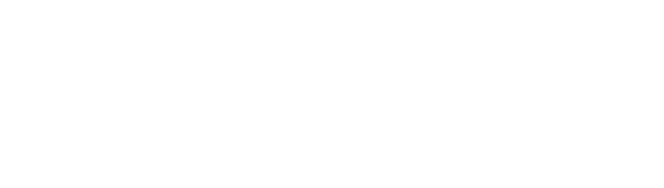 Experience-white